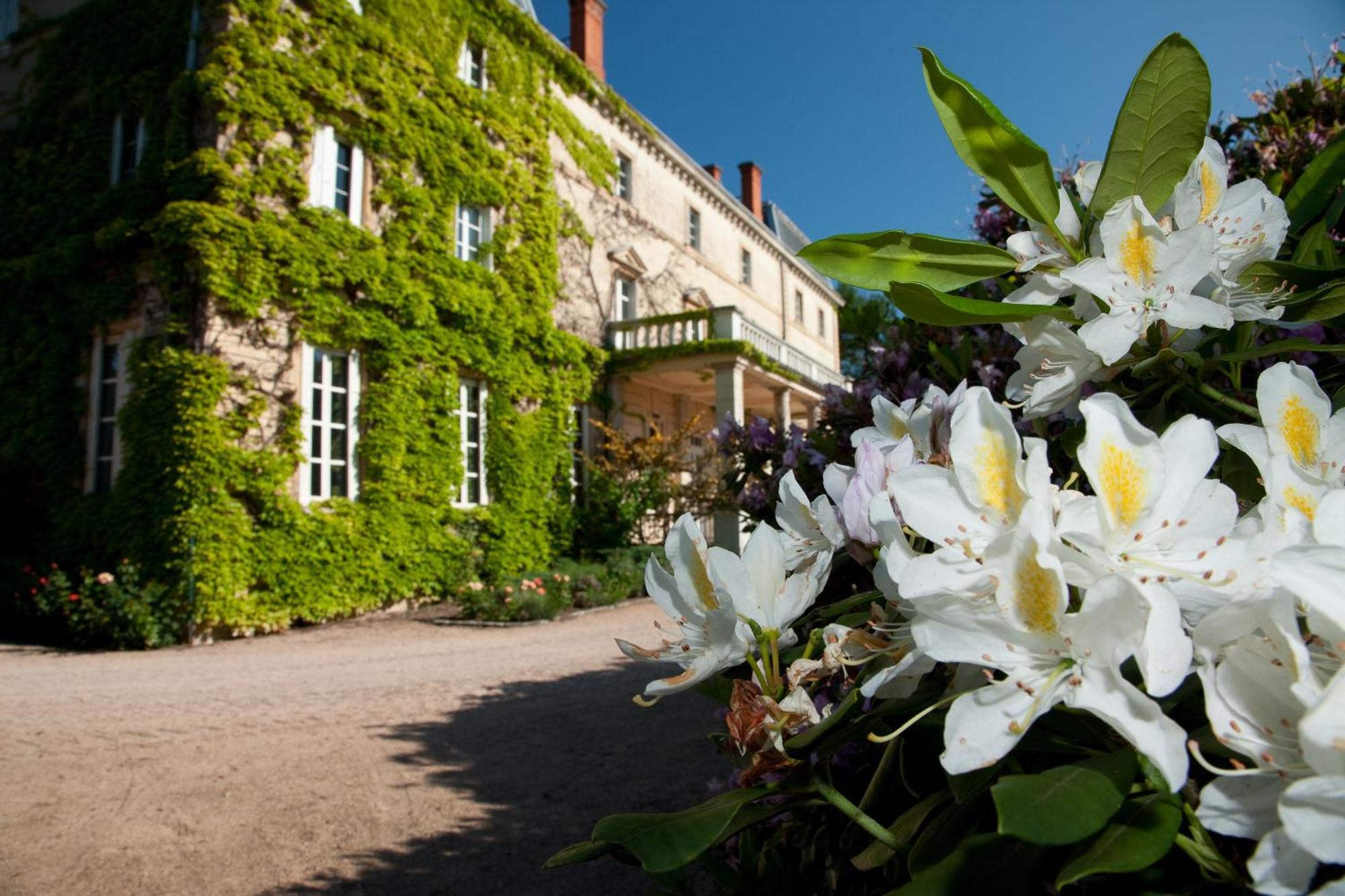 Villié-Morgon Chateau De Bellevue B&B מראה חיצוני תמונה